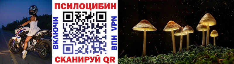 Псилоцибиновые грибы Magic Shrooms  наркошоп  это формула  Дорогобуж 